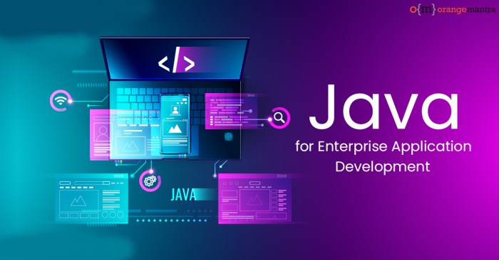 Java web development services app trusted